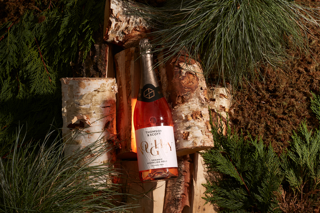 Business Insider Gives Its Tips for Dry January