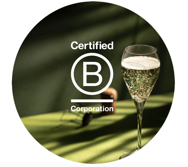 Becoming a B Corporation Has Been a Mountain Worth Climbing